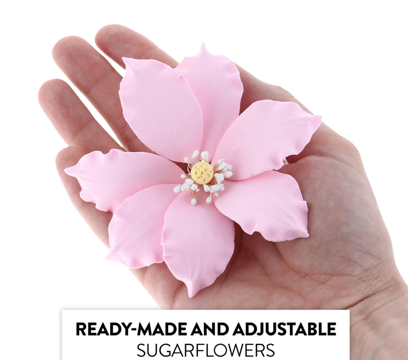 Clematis Gum Paste Sugar Cake Flowers by Global Sugar Art, Pink, 3 Count