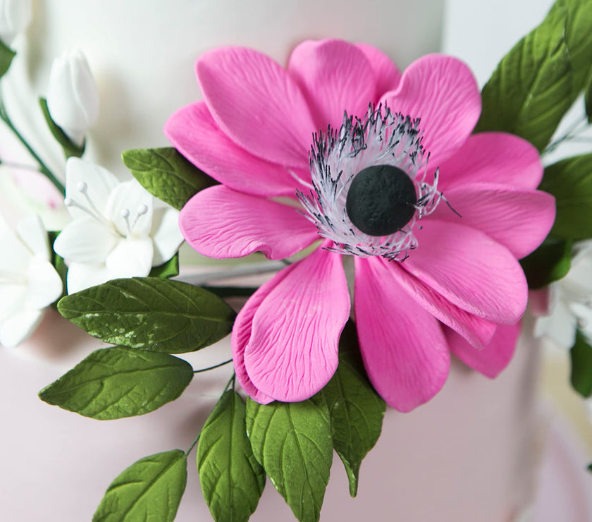 Global Sugar Art Sugar Pink and Black Anemone by Chef Alan Tetreault, 3 Count