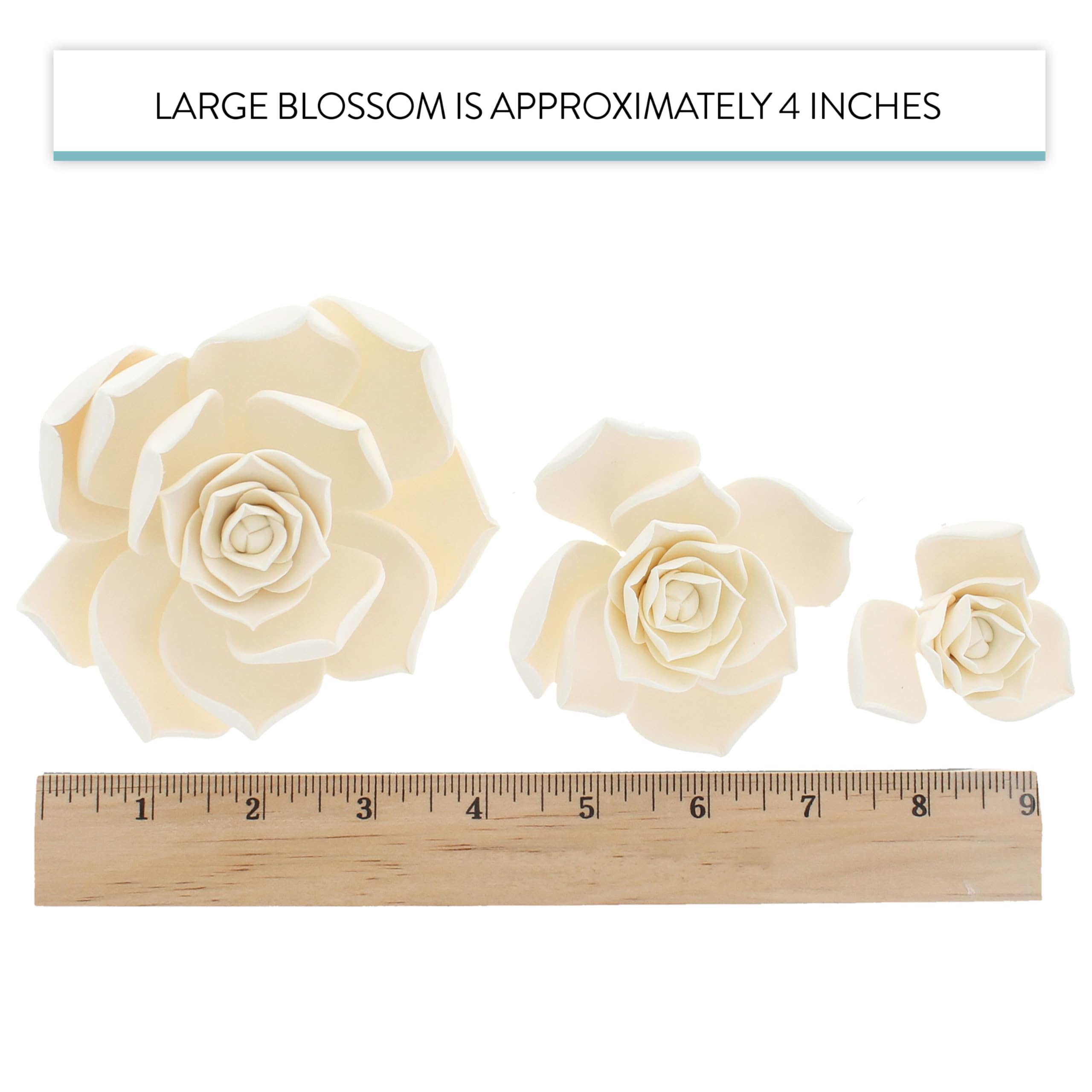 Global Sugar Art Succulent Taurus Sugar Cake Flowers Assortment White with Wire, 3 Count by Chef Alan Tetreault