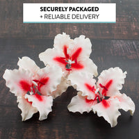 Rubrum Lily Cake Topper, Sugar Flower Lilies by Global Sugar Art, Red and White, 3 Count