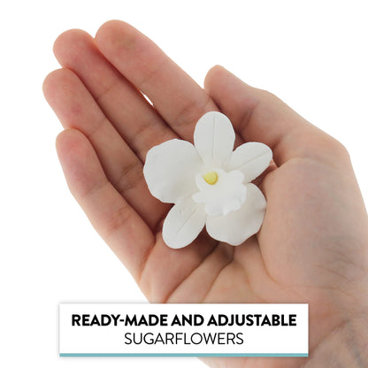 White African Orchids, Small, 6 Count