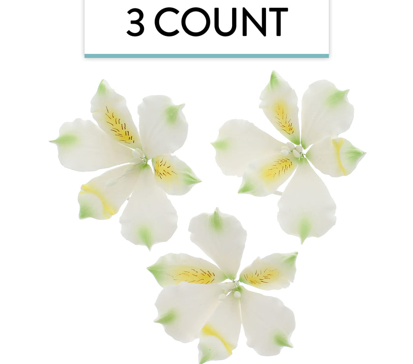 Global Sugar Art White Alstroemeria Sugar Cake Flowers by Chef Alan Tetreault, 3 Count