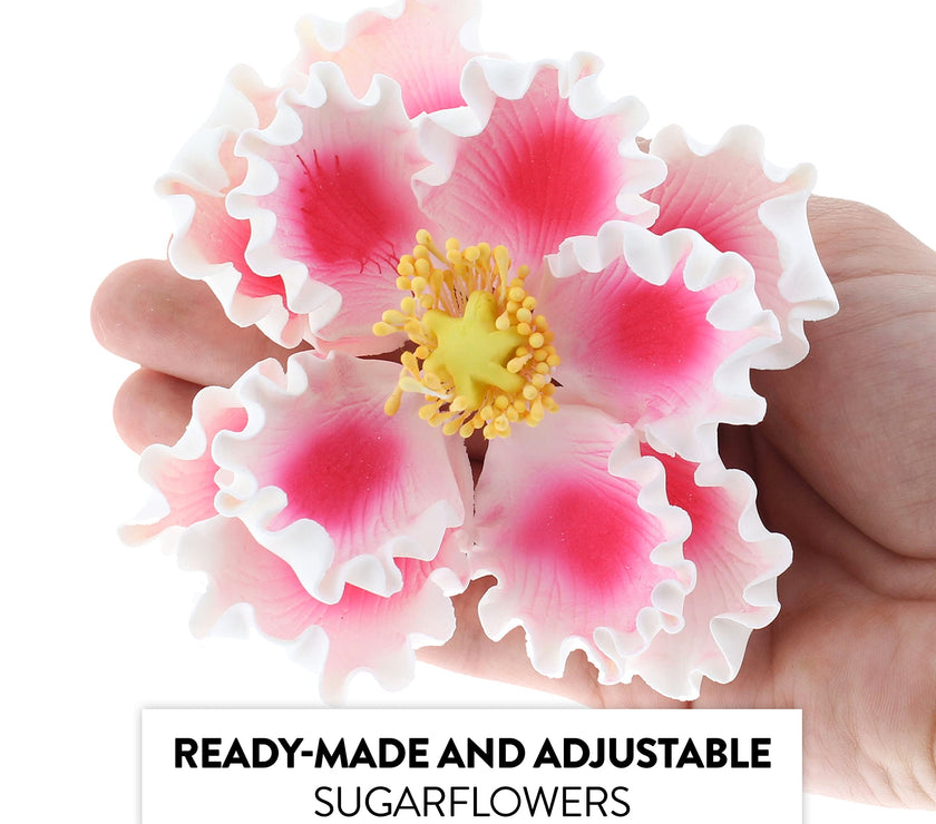 Deluxe Peony Decoration for Cakes, by Global Sugar Art, Pink with White