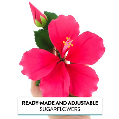 Pink Tropical Hibiscus with Leaves