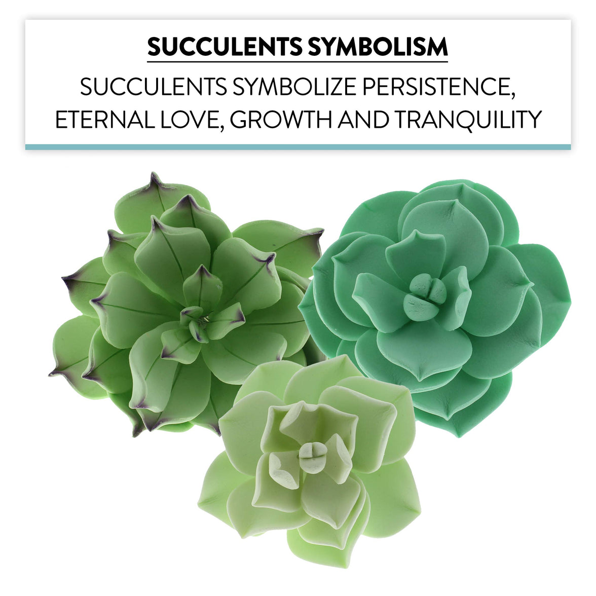 Global Sugar Art Succulents Sugar Cake Flowers, Garden Variety, by Chef Alan Tetreault