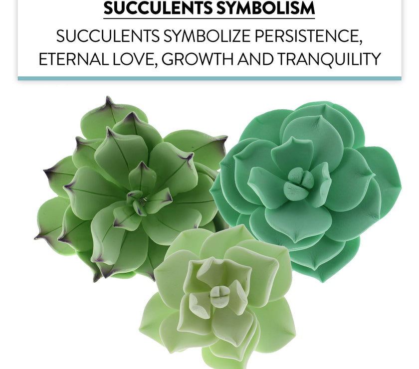 Global Sugar Art Succulents Sugar Cake Flowers, Garden Variety, by Chef Alan Tetreault