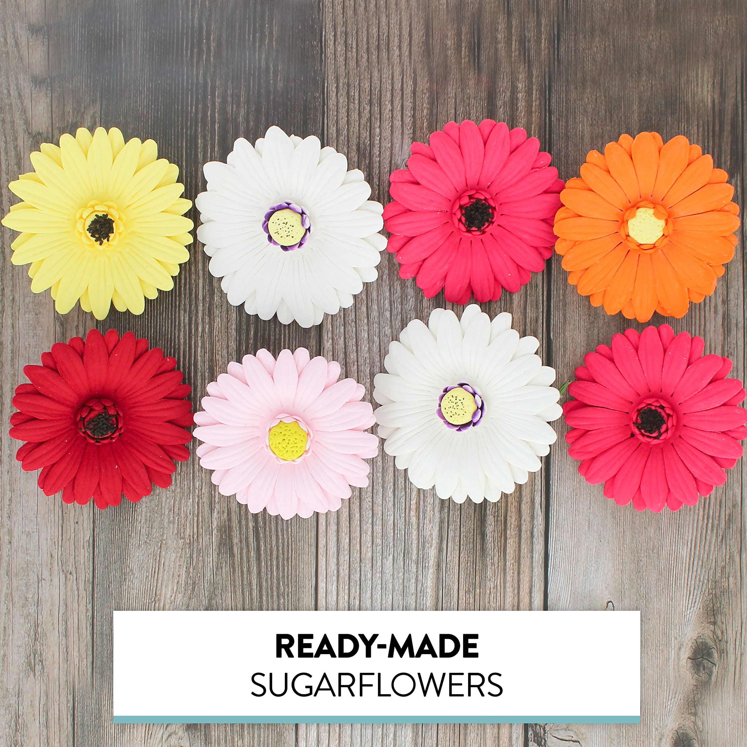 Global Sugar Art Gerbera Daisy Sugar Cake Flowers, Mixed Colors, 8 Count by Chef Alan Tetreault