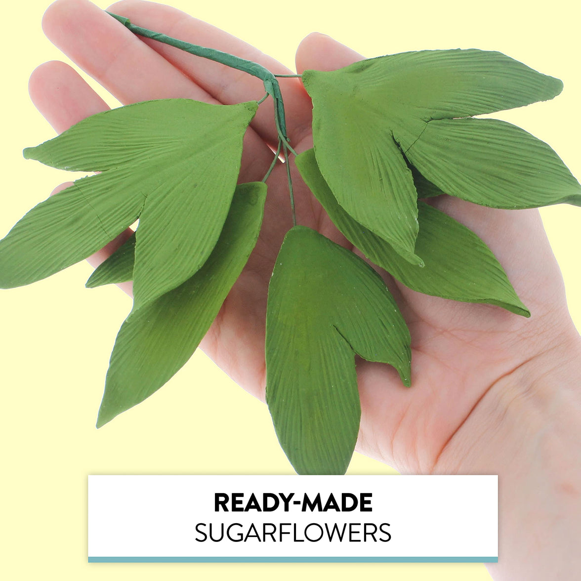 Peony Leaf  Spray  Cake Decoration by Chef Alan Tetreault, Global Sugar Art, 2 Count