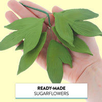 Peony Leaf  Spray  Cake Decoration by Chef Alan Tetreault, Global Sugar Art, 2 Count