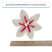 Stargazer Lily Cake Topper, Sugar Flower Lilies by Global Sugar Art, Pink and White, Extra Large, 3 Count