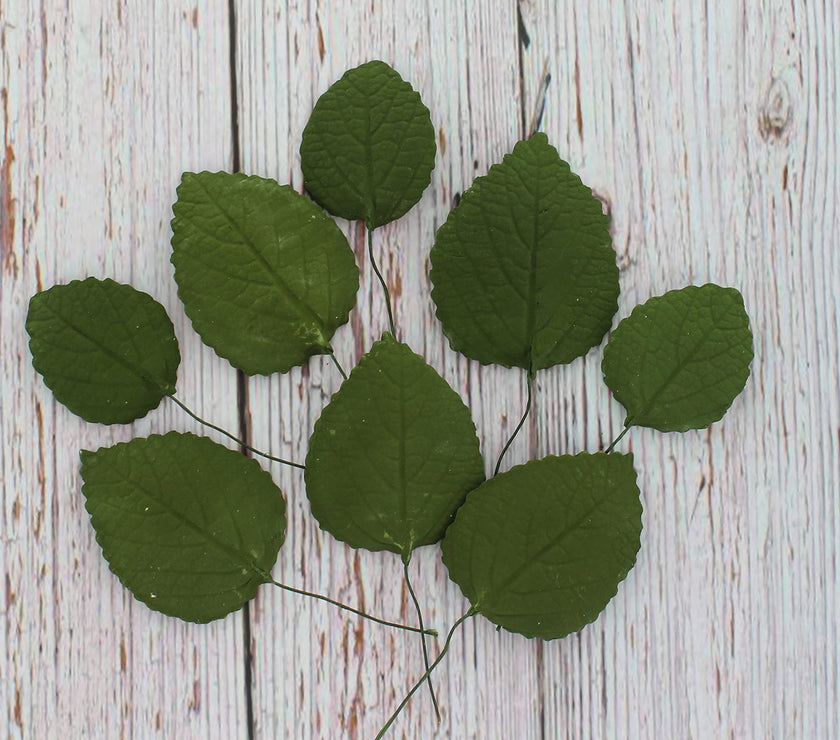 Hydrangea Leaves, Gum Paste Cake Decorations by Global Sugar Art, Green, Multiple Sizes