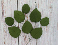 Hydrangea Leaves, Gum Paste Cake Decorations by Global Sugar Art, Green, Multiple Sizes