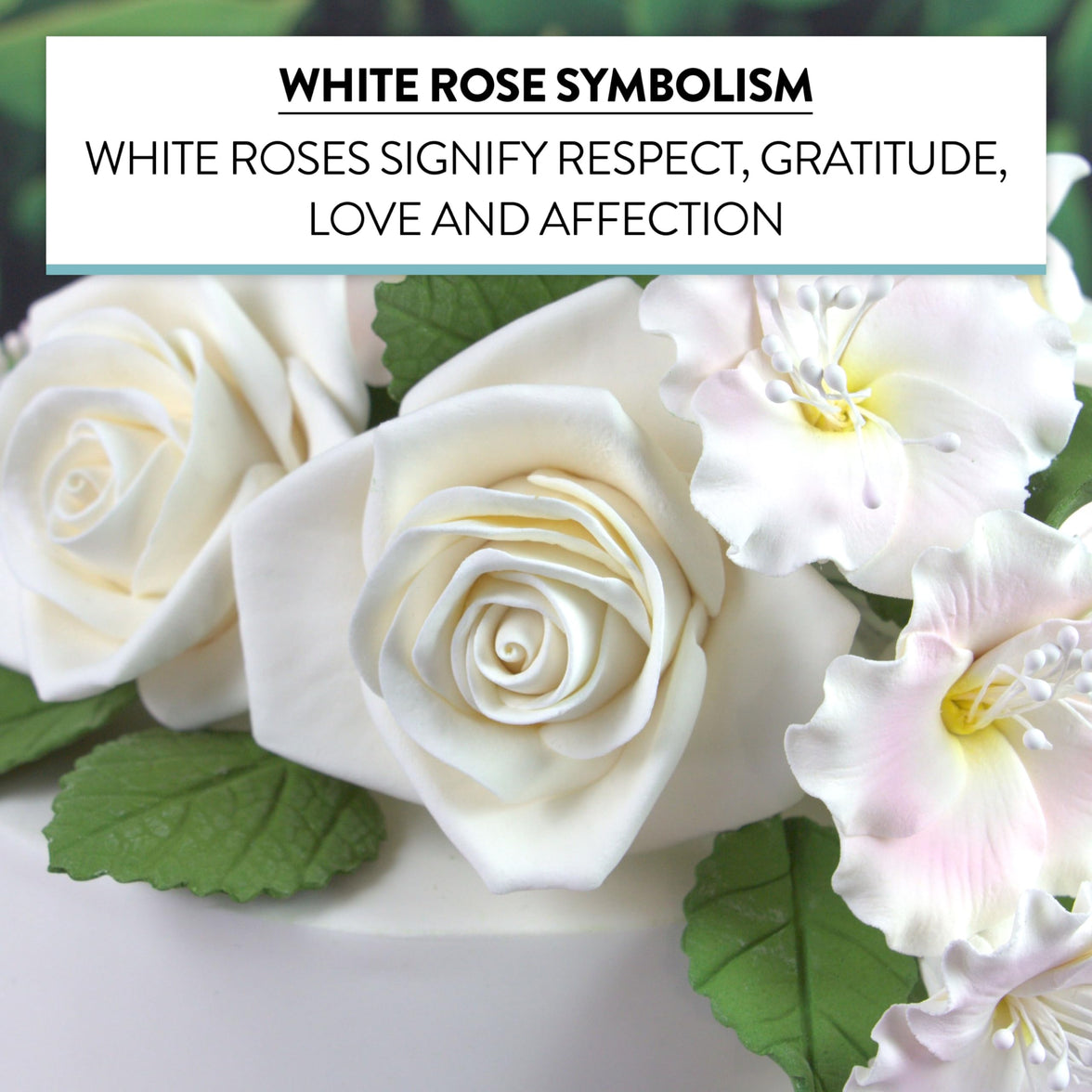 Peace Rose Sugar Flowers for Cake Decorating, by Global Sugar Art, Large, White