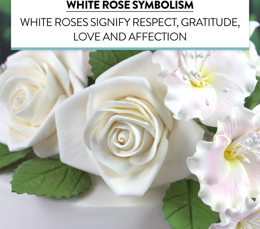 Peace Rose Sugar Flowers for Cake Decorating, by Global Sugar Art, Large, White
