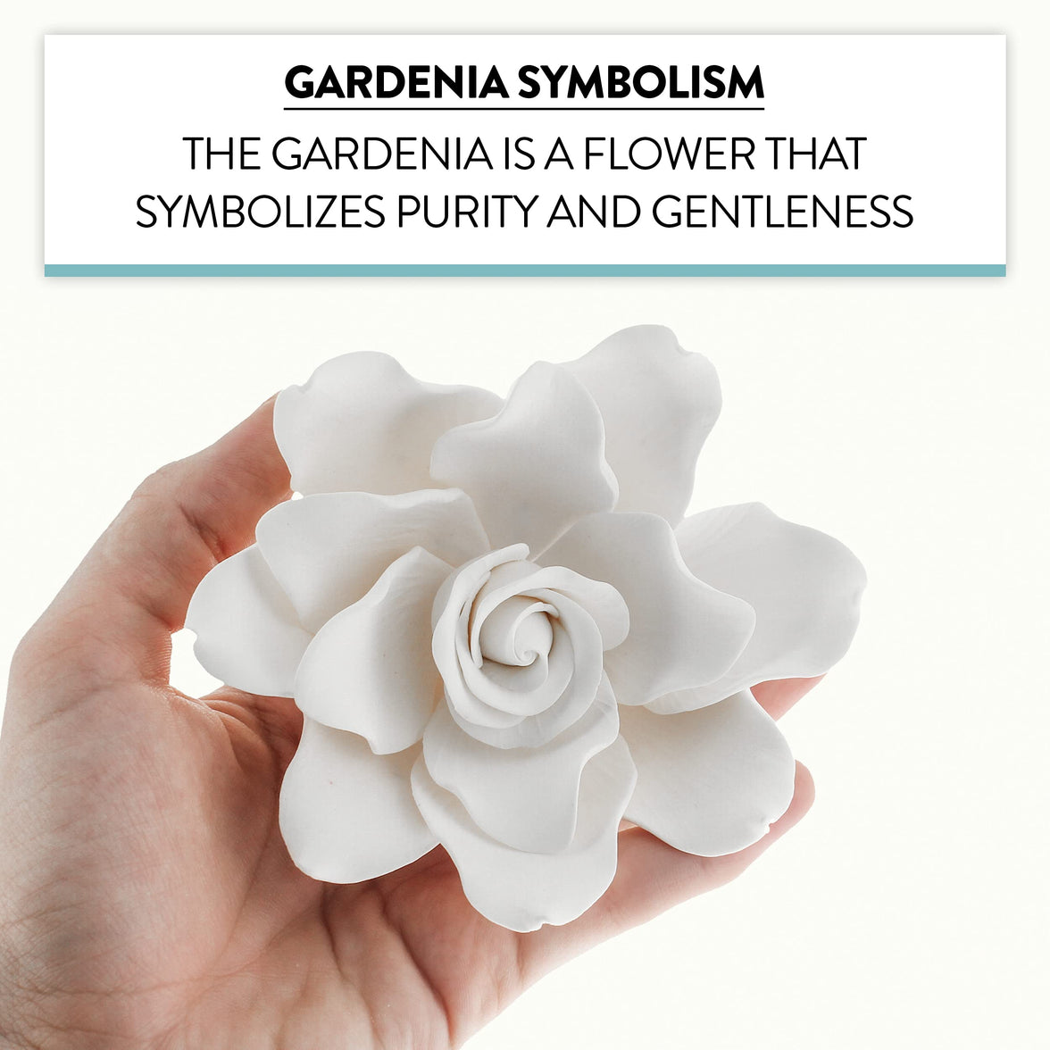 Gardenia Sugar Cake Flowers, White, 8 Count by Global Sugar Art