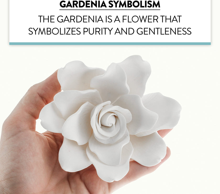 Gardenia Sugar Cake Flowers, White, 8 Count by Global Sugar Art