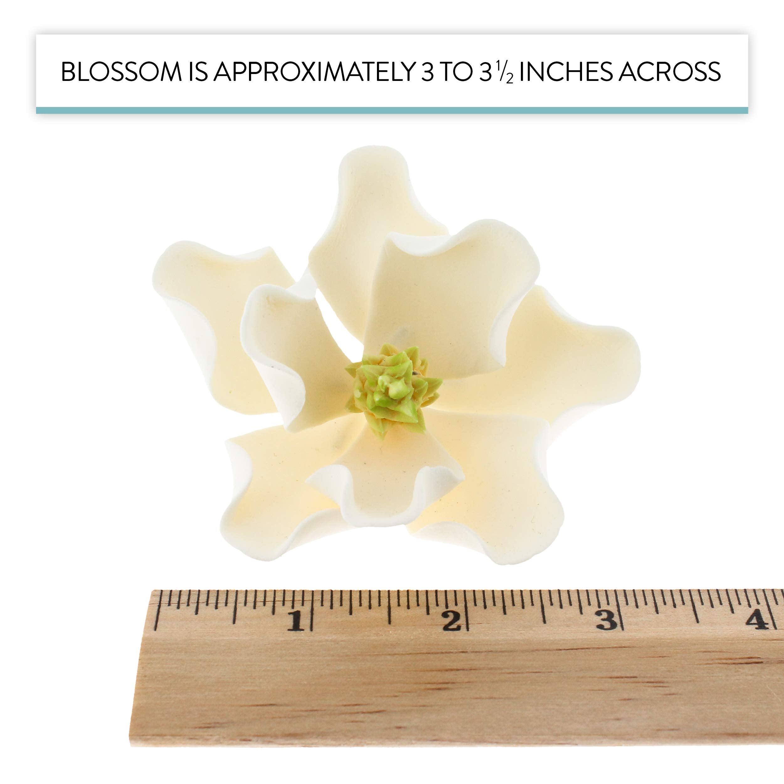 Magnolia Blossom Sugar Cake Flowers by Global Sugar Art, White, Large, 3 Count