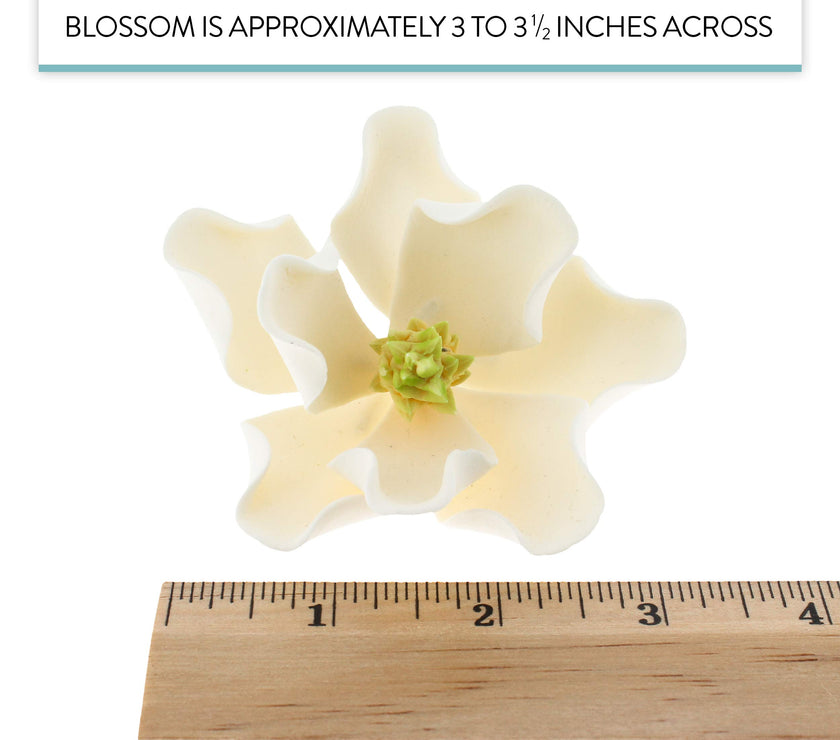 Magnolia Blossom Sugar Cake Flowers by Global Sugar Art, White, Large, 3 Count