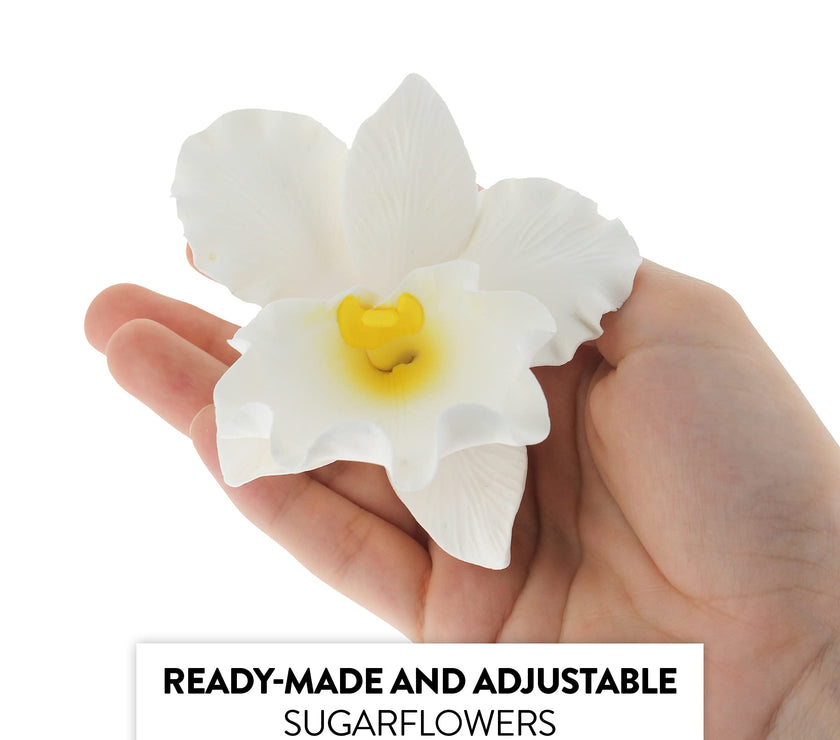 Orchid Sugar Cake Flowers, Cattleya Orchid, by Global Sugar Art, Large, White, 1 Count