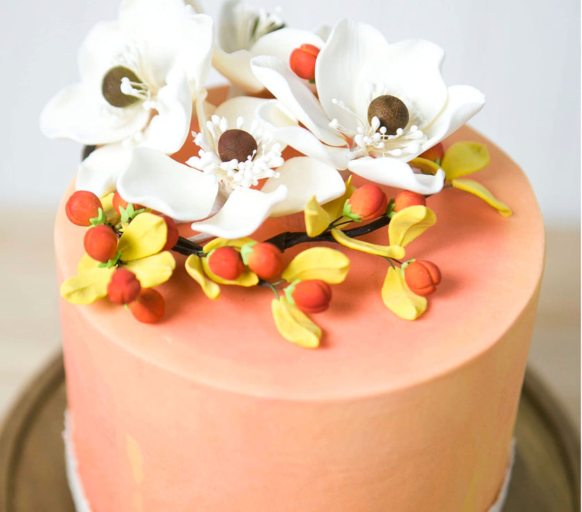 Global Sugar Art Sugar White and Brown Anemone by Chef Alan Tetreault, 4 Count