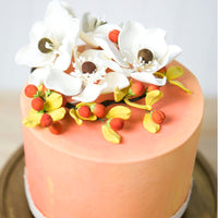 Global Sugar Art Sugar White and Brown Anemone by Chef Alan Tetreault, 4 Count