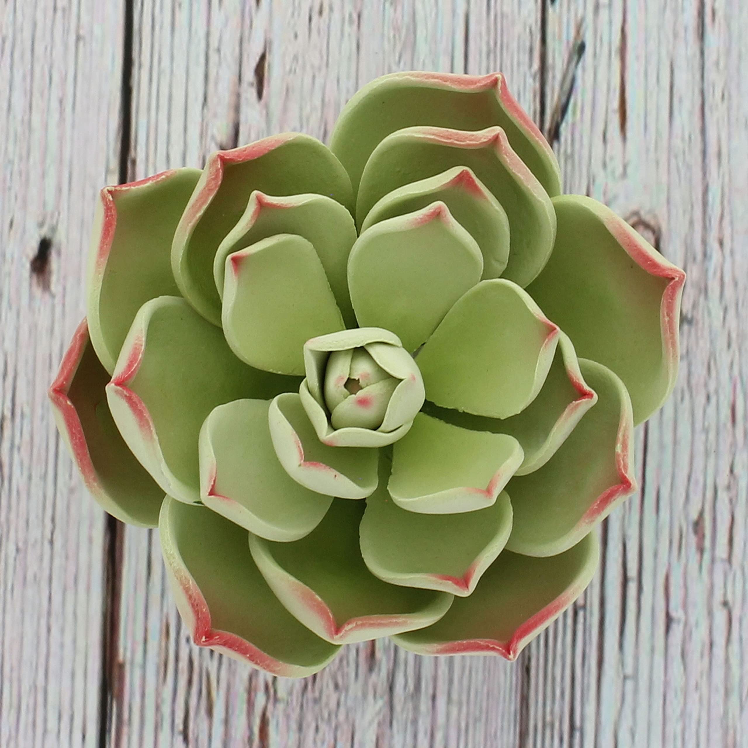 Global Sugar Art Succulent Parva Large Cake Flower with Wire, 1 Count by Chef Alan Tetreault