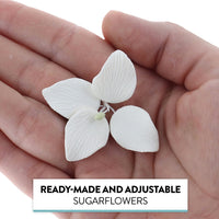 Hydrangea Blossoms, Flat Sugar Flowers by Global Sugar Art, 24 Count White