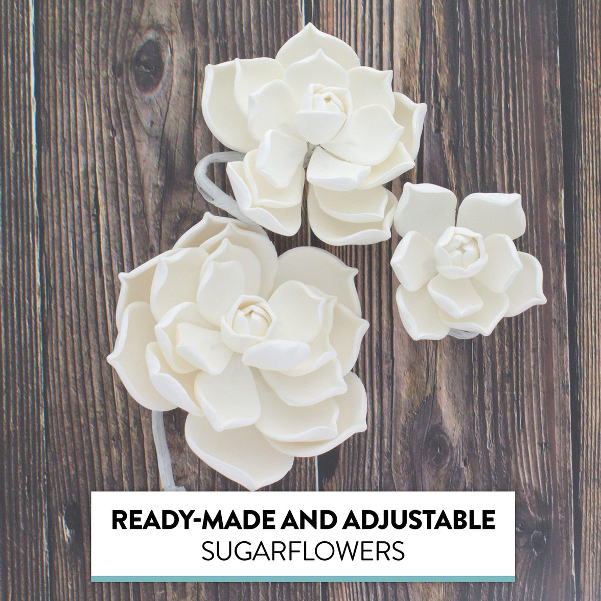 Global Sugar Art Succulent Parva Sugar Cake Flowers, White Assortment, 3 Count by Chef Alan Tetreault