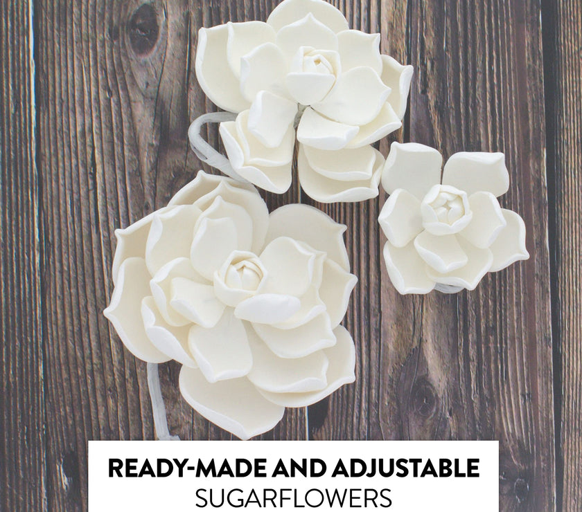 Global Sugar Art Succulent Parva Sugar Cake Flowers, White Assortment, 3 Count by Chef Alan Tetreault
