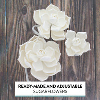 Global Sugar Art Succulent Parva Sugar Cake Flowers, White Assortment, 3 Count by Chef Alan Tetreault