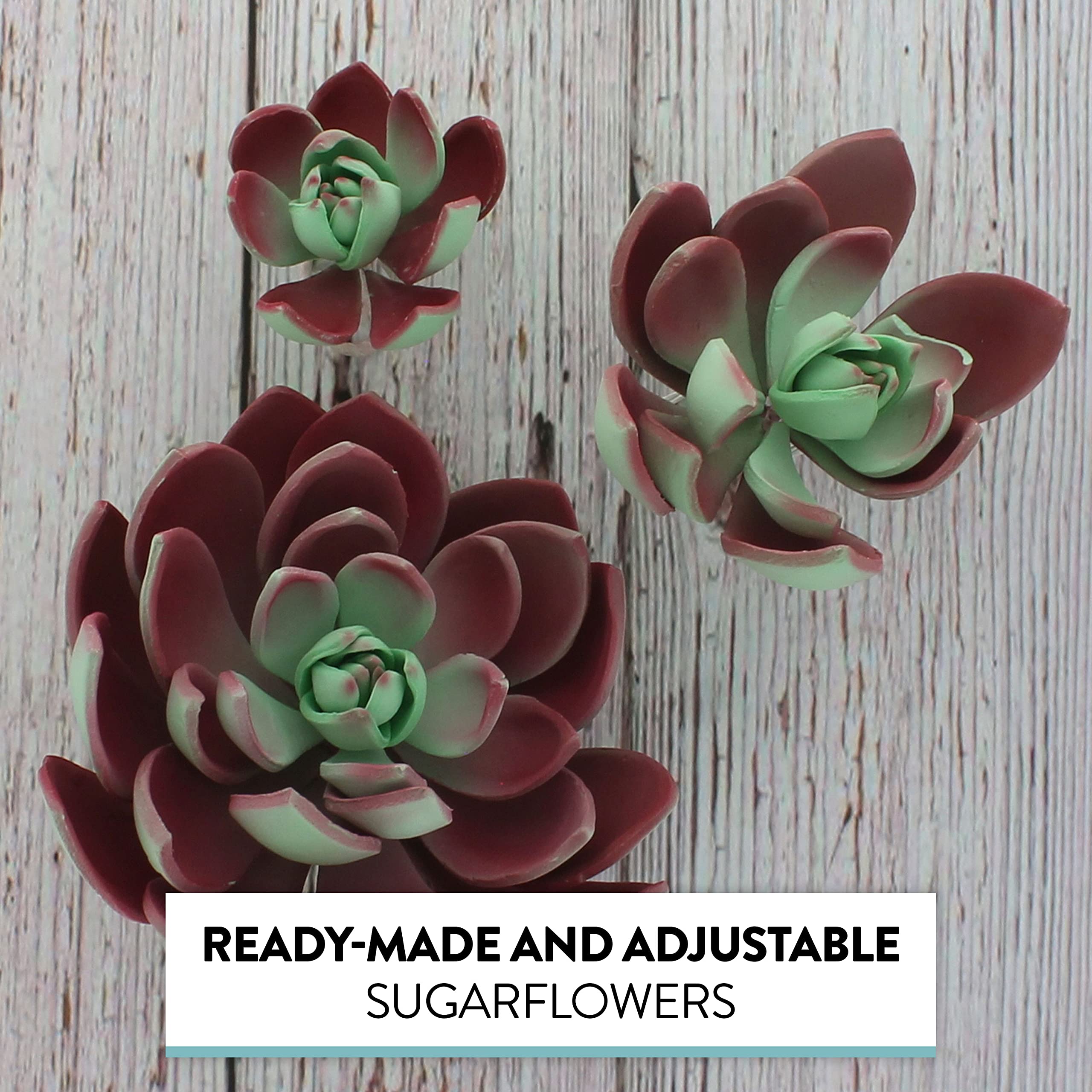 Global Sugar Art Succulent Romeo Sugar Cake Flowers Assortment with Wire, 3 Count by Chef Alan Tetreault