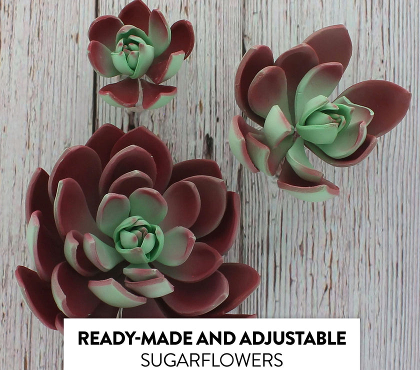 Global Sugar Art Succulent Romeo Sugar Cake Flowers Assortment with Wire, 3 Count by Chef Alan Tetreault