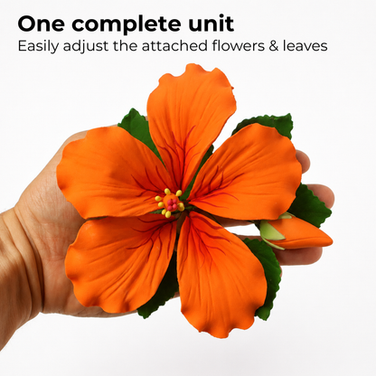Orange Tropical Hibiscus with Leaves