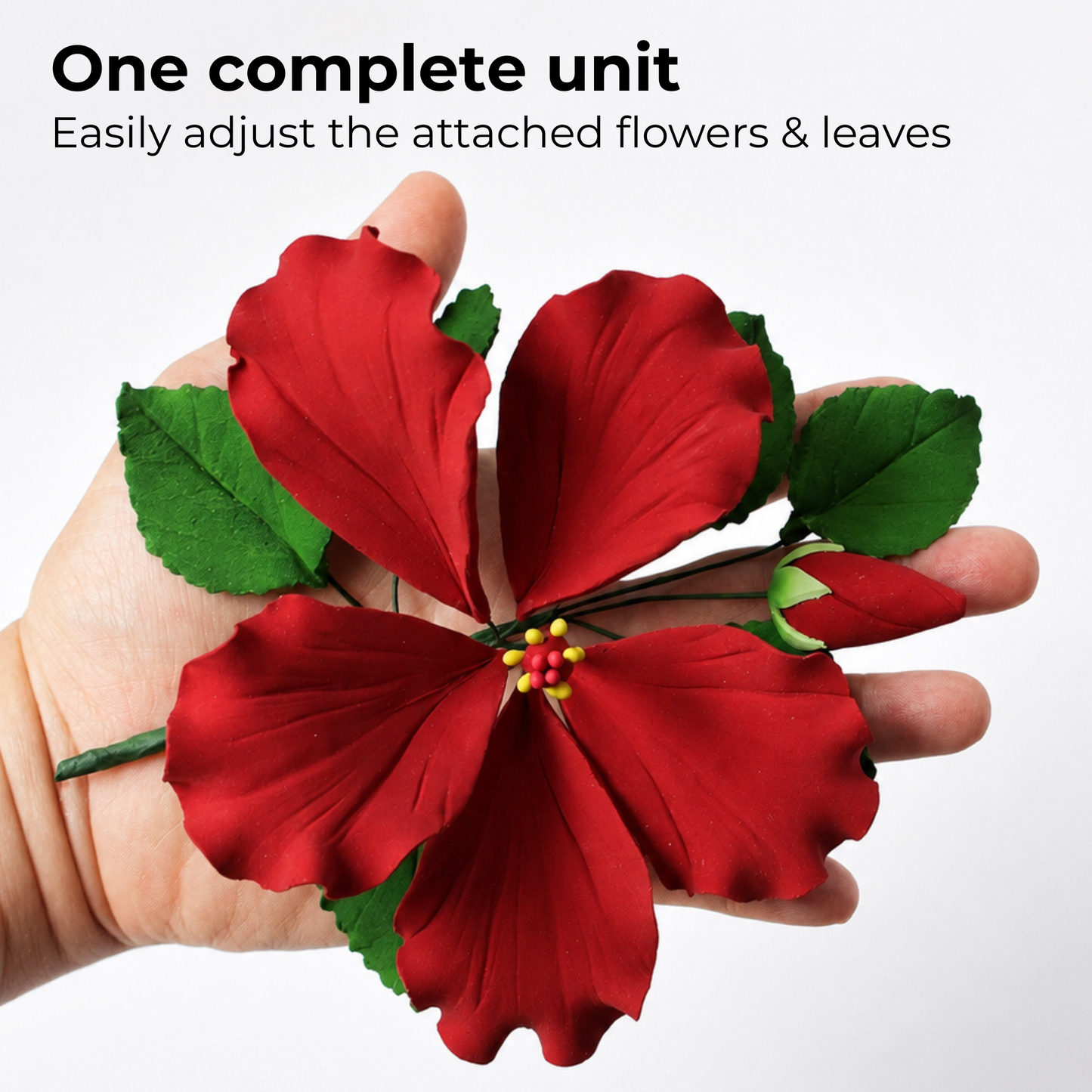 Red Tropical Hibiscus with Leaves