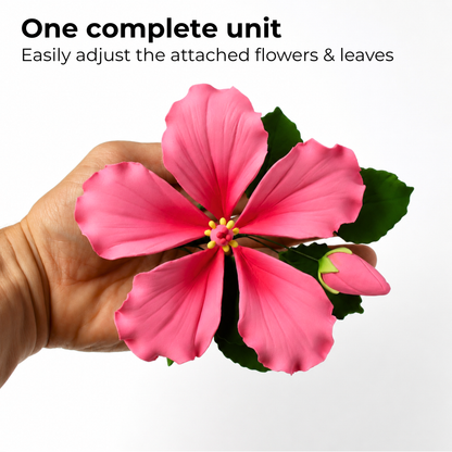 Pink Tropical Hibiscus with Leaves