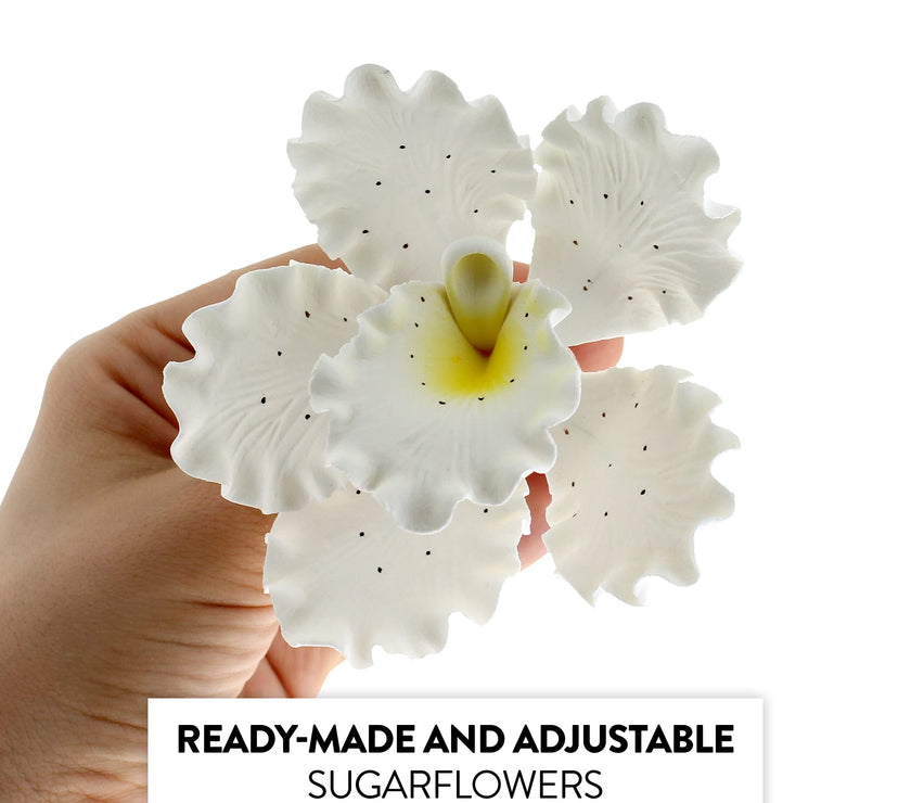 Orchid Sugar Cake Flowers, Cattleya Orchids, by Global Sugar Art, Large, White, 3 Count
