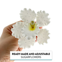 Orchid Sugar Cake Flowers, Cattleya Orchids, by Global Sugar Art, Large, White, 3 Count