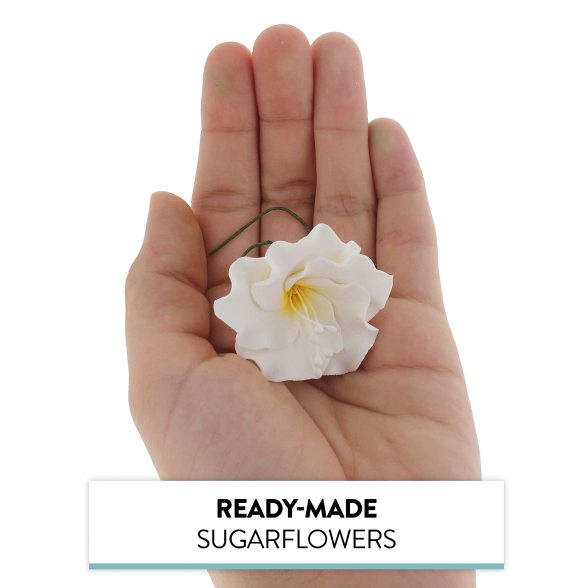 Azalea Sugar Flowers for Cake Decorating, by Global Sugar Art, White