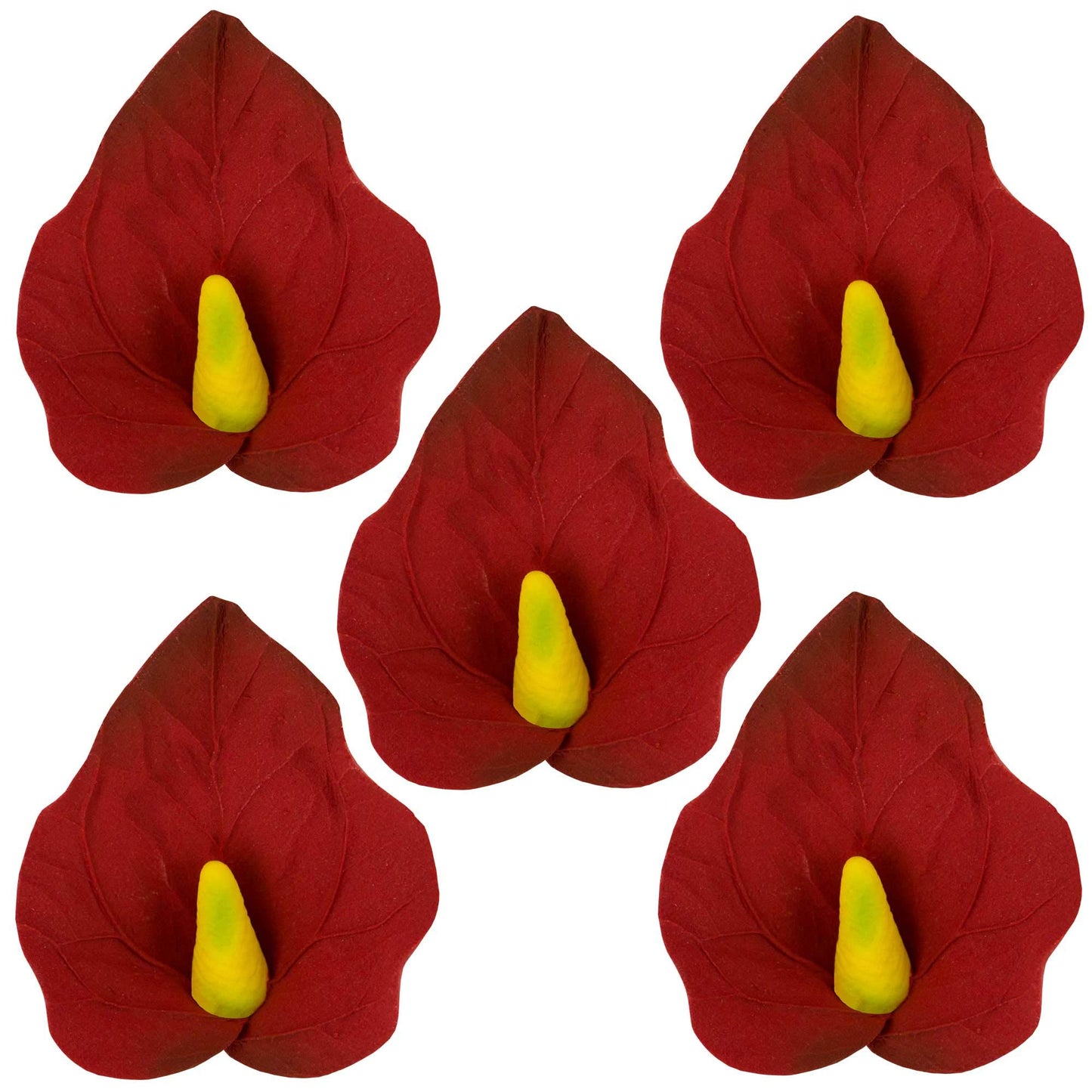 Red Anthurium, Small, 5 Count