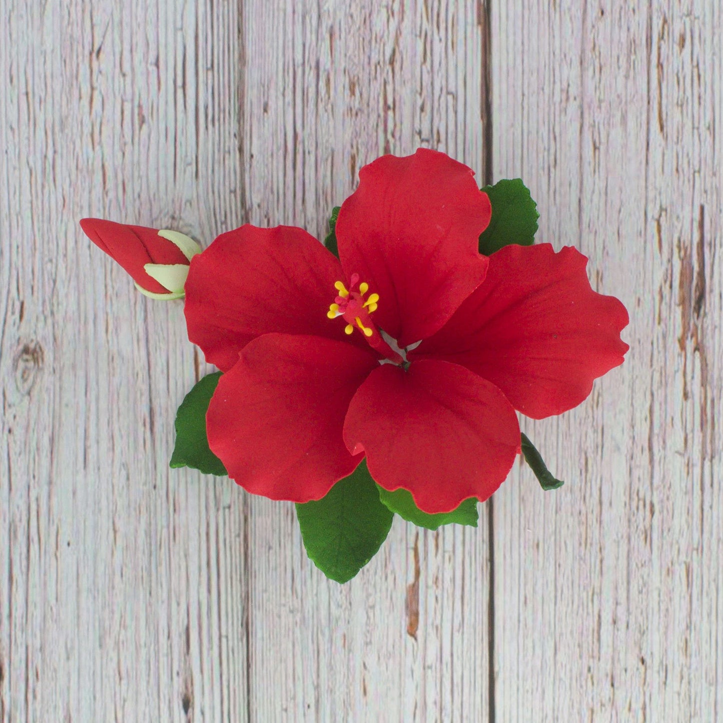 Red Tropical Hibiscus with Leaves
