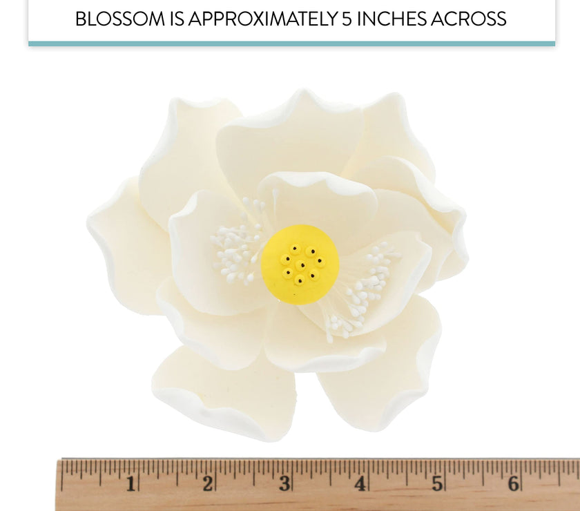 Global Sugar Art Lotus Blossom Sugar Cake Flowers White Jumbo, 1 Count by Chef Alan Tetreault