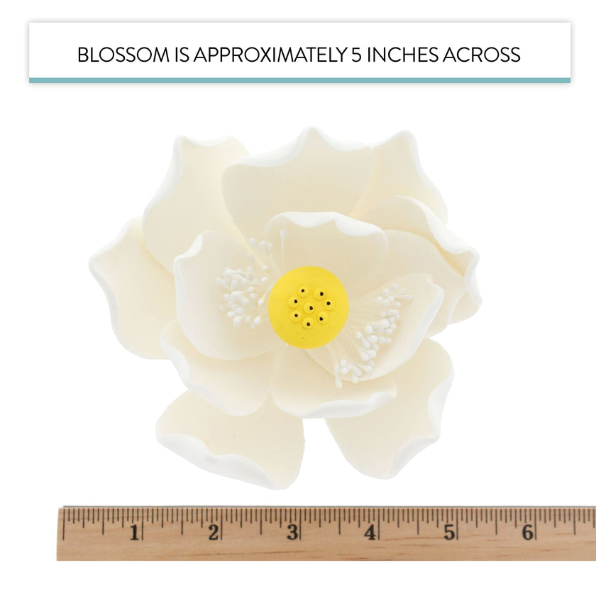 Global Sugar Art Lotus Blossom Sugar Cake Flowers White Jumbo, 1 Count by Chef Alan Tetreault