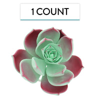 Global Sugar Art Succulent Taurus Large Sugar Cake Flowers with Wire, 1 Count by Chef Alan Tetreault