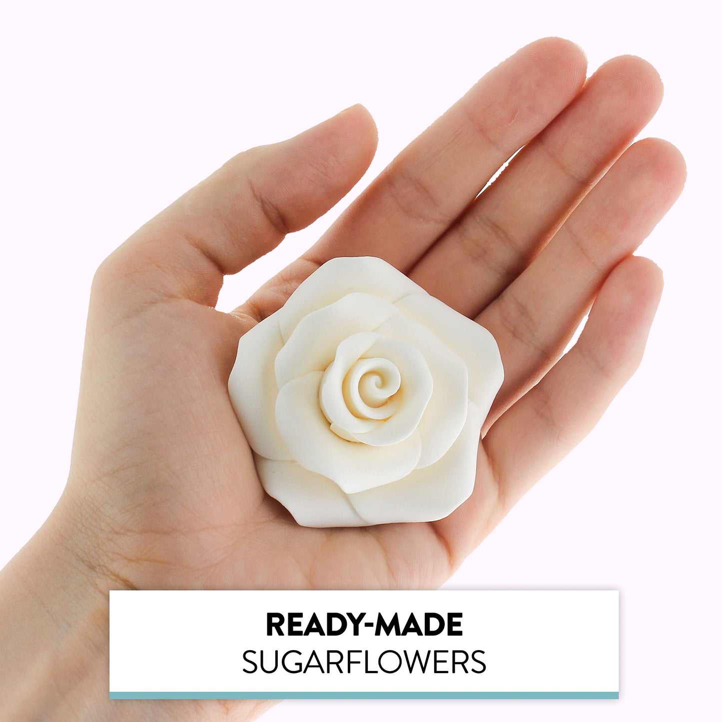 White Shrub Rose, Wired, 2.5-inch, 8 Count