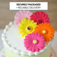 Global Sugar Art Gerbera Daisy Sugar Cake Flowers, Mixed Colors, 8 Count by Chef Alan Tetreault