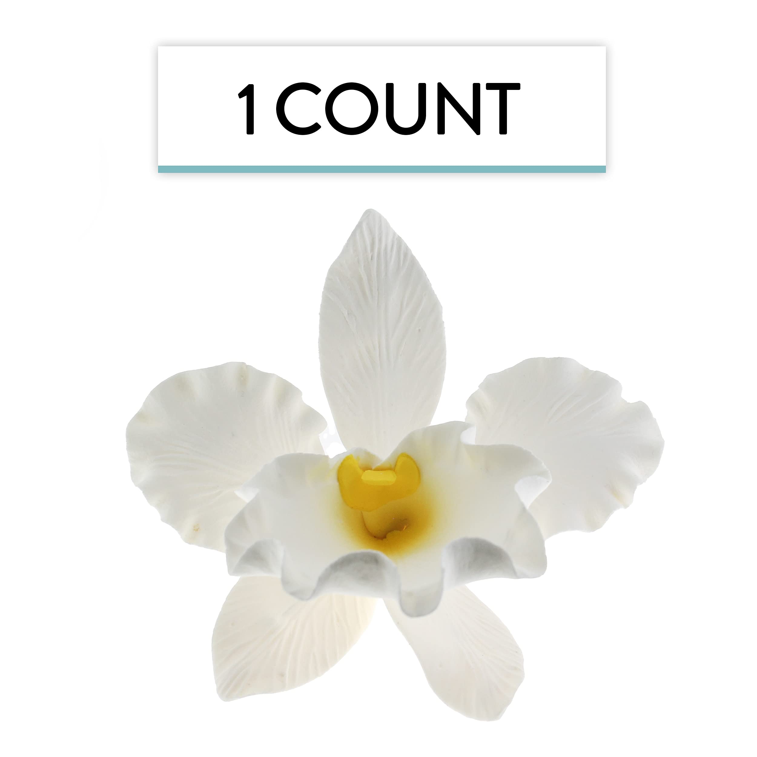 Orchid Sugar Cake Flowers, Cattleya Orchid, by Global Sugar Art, Large, White, 1 Count