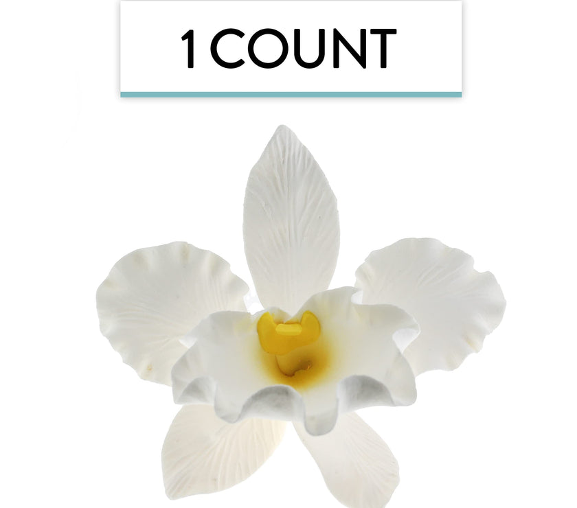 Orchid Sugar Cake Flowers, Cattleya Orchid, by Global Sugar Art, Large, White, 1 Count
