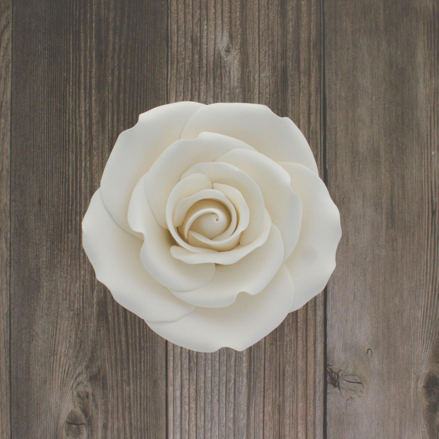 White Rose, Jumbo Bloom