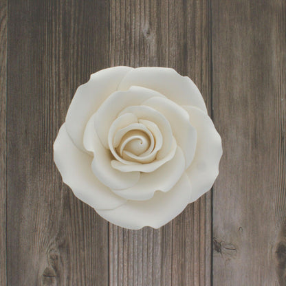 White Rose, Jumbo Bloom