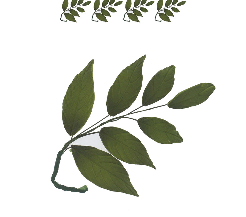 Dark Green Leaf  Spray  Cake Decoration by Chef Alan Tetreault, Global Sugar Art, 4 Count